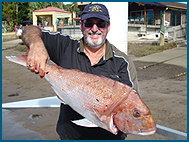 Odyssey Charters - Accommodation Port Macquarie 1
