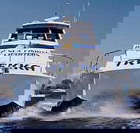 Sunshine Coast Fishing Charters - Accommodation Port Macquarie