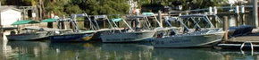 Brooklyn Central Boat Hire & General Store - Accommodation Port Macquarie 1