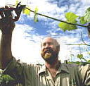 Barossa Experience Tours - Accommodation Port Macquarie