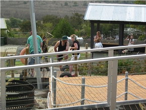 High Country - Accommodation Port Macquarie 0