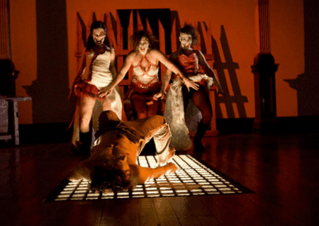 Zen Zen Zo Physical Theatre - Accommodation Port Macquarie 1