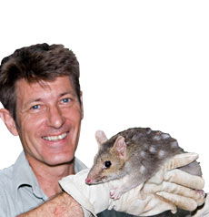 Geckoes Wildlife Presentations - Accommodation Port Macquarie 0