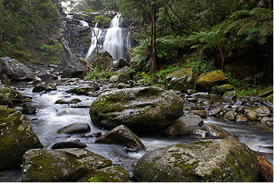 Stevensons Falls - Accommodation Port Macquarie 2
