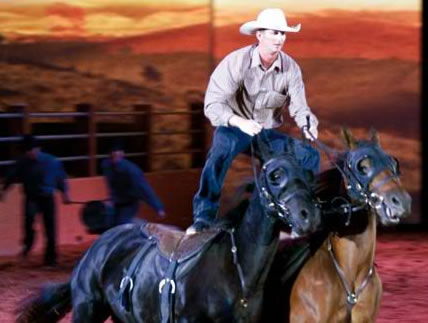 Australian Outback Spectacular - Accommodation Port Macquarie 1
