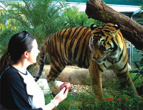 Crocodylus Park - Accommodation Port Macquarie 1