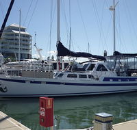 Coral Sea Dreaming Dive and Sail - Accommodation Port Macquarie