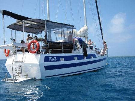 Coral Sea Dreaming Dive And Sail - Accommodation Port Macquarie 3
