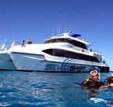 Silver Swift - Accommodation Port Macquarie