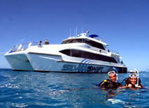 Silver Swift - Accommodation Port Macquarie 0