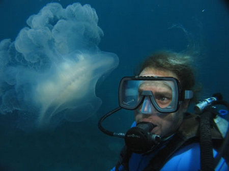 Silver Swift - Accommodation Port Macquarie 2