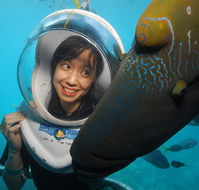 Sunlover Reef Cruises - Accommodation Port Macquarie
