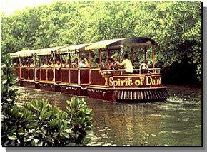 Daintree Rainforest River Trains - Accommodation Port Macquarie 0