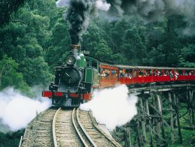 Gray Line Tours Melbourne - Accommodation Port Macquarie 1