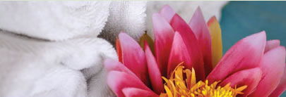 Regeneration Health Spa - Accommodation Port Macquarie 2