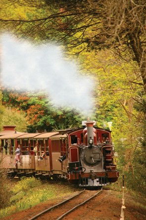 Puffing Billy - Accommodation Port Macquarie 5
