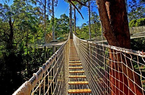FreemanX Experience - Accommodation Port Macquarie 2