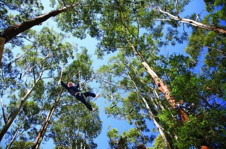 FreemanX Experience - Accommodation Port Macquarie 5