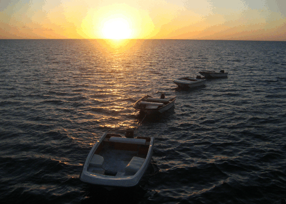 Carlo Fishing Charters - Accommodation Port Macquarie 2