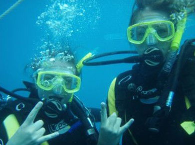 Snorkel Safari Brisbane - Accommodation Port Macquarie 5