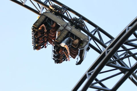 Adventure World - Accommodation Port Macquarie 7