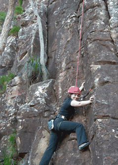 Adventures Around Brisbane - Accommodation Port Macquarie 4