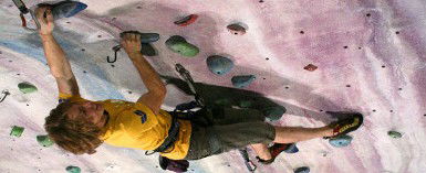 Urban Climb - Accommodation Port Macquarie 0