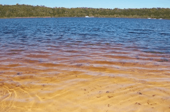 Beach Trekkers North Stradbroke Island - Accommodation Port Macquarie 1