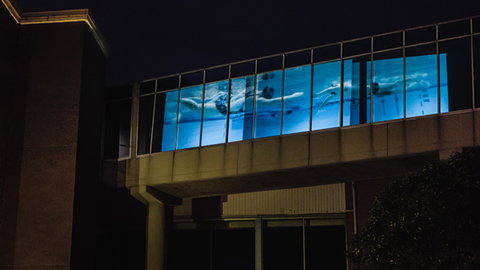 Kingston Arts - Accommodation Port Macquarie 8