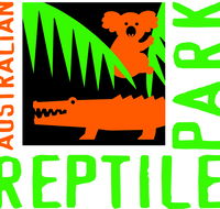 Australian Reptile Park - Accommodation Port Macquarie