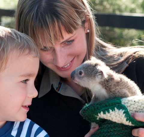Australian Reptile Park - Accommodation Port Macquarie 1