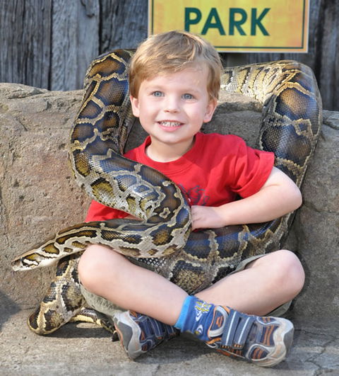Australian Reptile Park - Accommodation Port Macquarie 3