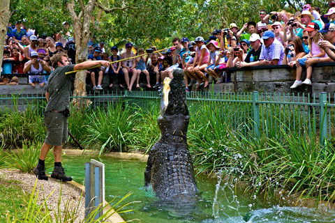 Australian Reptile Park - Accommodation Port Macquarie 4