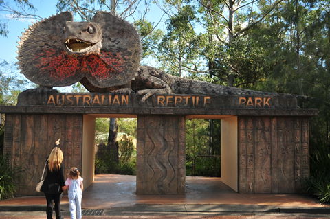 Australian Reptile Park - Accommodation Port Macquarie 5