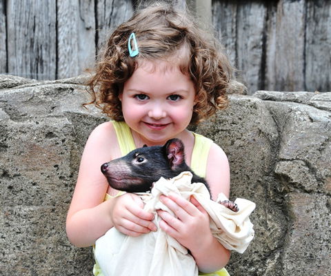 Australian Reptile Park - Accommodation Port Macquarie 8