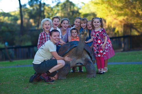Australian Reptile Park - Accommodation Port Macquarie 11