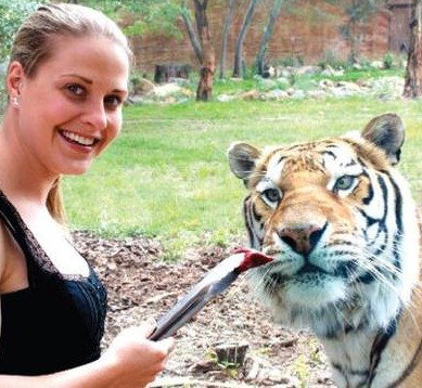 National Zoo & Aquarium - Accommodation Port Macquarie 4