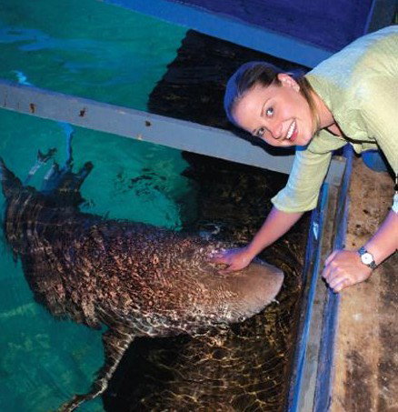 National Zoo & Aquarium - Accommodation Port Macquarie 7