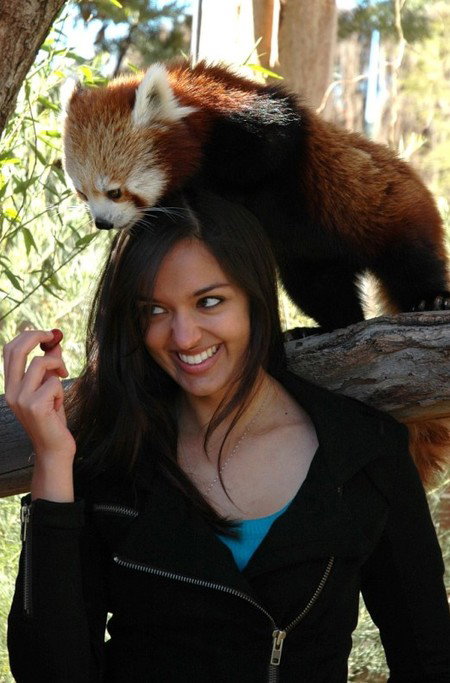 National Zoo & Aquarium - Accommodation Port Macquarie 8