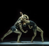 Sydney Dance Company - Accommodation Port Macquarie