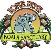 Lone Pine Koala Sanctuary - Accommodation Port Macquarie