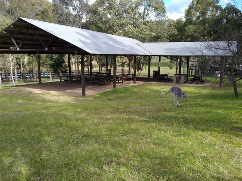 Calmsley Hill City Farm - Accommodation Port Macquarie 5