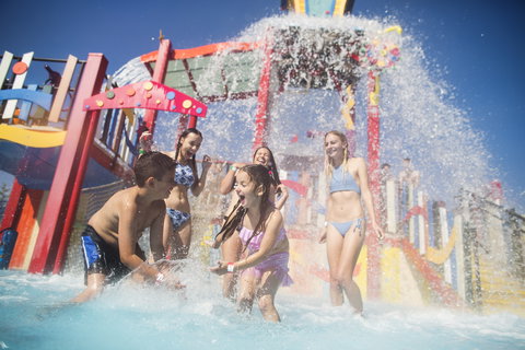 Funfields - Accommodation Port Macquarie 10