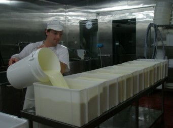 Witches Chase Cheese Co - Accommodation Port Macquarie 1