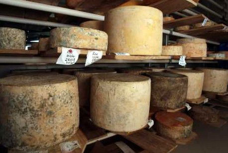 Witches Chase Cheese Co - Accommodation Port Macquarie 3