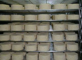 Witches Chase Cheese Co - Accommodation Port Macquarie 5