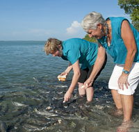 Aquascene Fish Feeding Sanctuary - Accommodation Port Macquarie