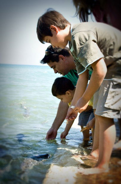 Aquascene Fish Feeding Sanctuary - Accommodation Port Macquarie 3