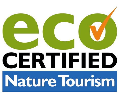 Aquascene Fish Feeding Sanctuary - Accommodation Port Macquarie 4