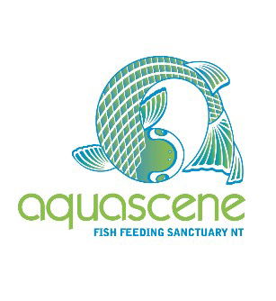 Aquascene Fish Feeding Sanctuary - Accommodation Port Macquarie 5
